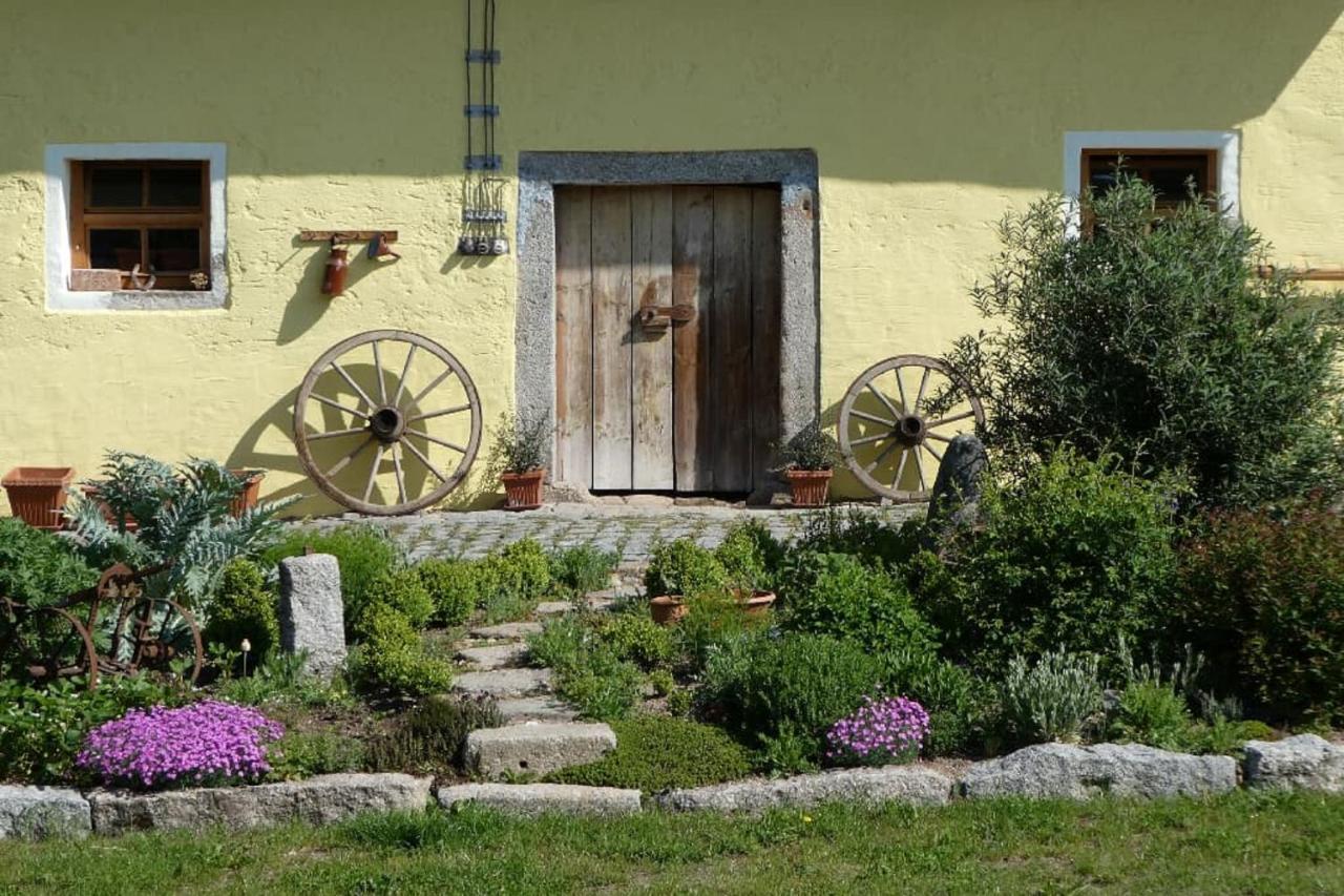 Ferienwohnung Schindler Nittenau 외부 사진